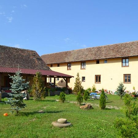 דירות Cincu Casa Maria מראה חיצוני תמונה