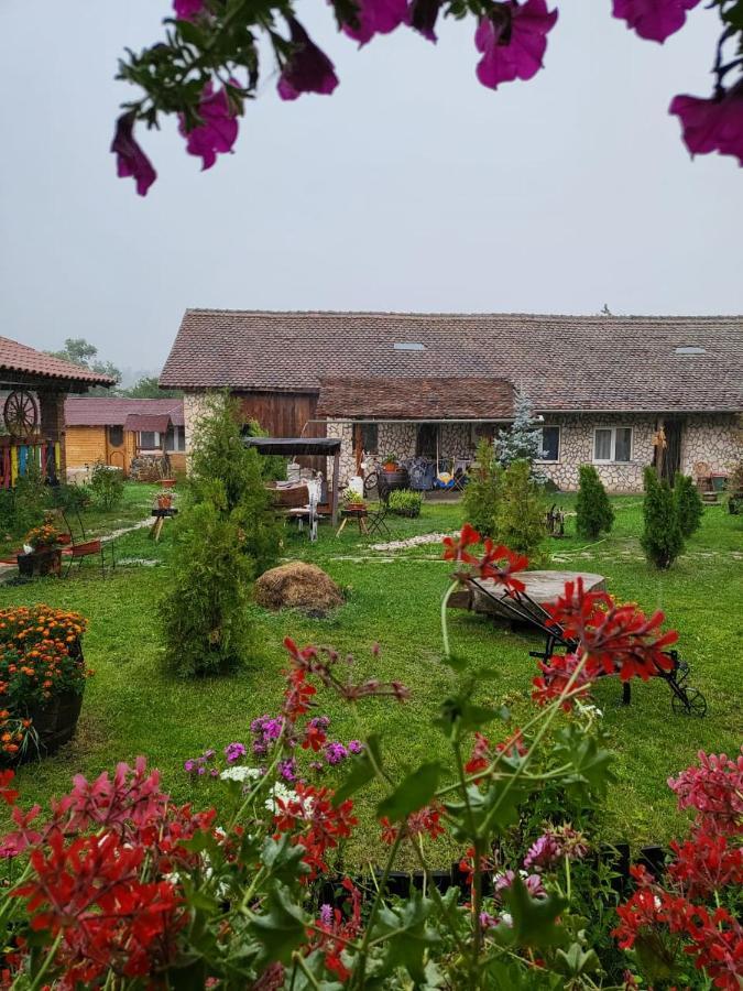 דירות Cincu Casa Maria מראה חיצוני תמונה