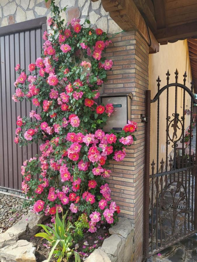 דירות Cincu Casa Maria מראה חיצוני תמונה