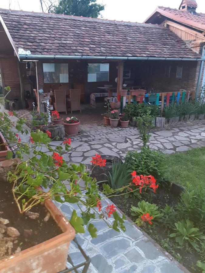 דירות Cincu Casa Maria מראה חיצוני תמונה